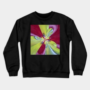 Sangria Crewneck Sweatshirt